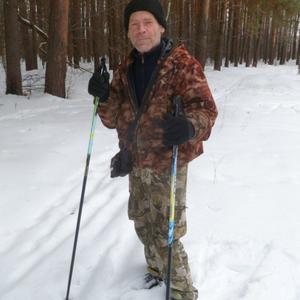Виктор Беловицкий, 61 год, Нижний Новгород