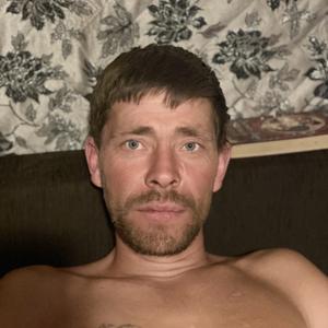 Александр, 42 года, Домодедово
