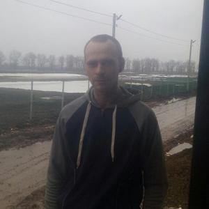 Артем, 28 лет, Белгород