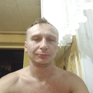 Александр, 44 года, Тверь