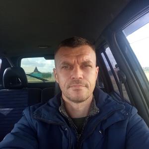 Владимир, 43 года, Алексеевка