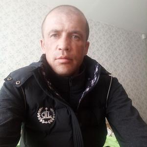 Дмитрий, 43 года, Солнечногорск