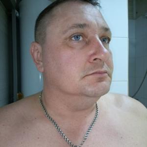 Андрей, 43 года, Заринск
