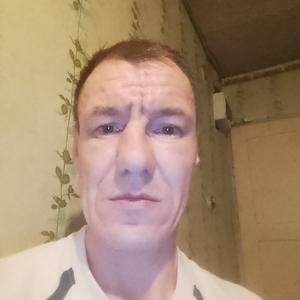 Роман, 41 год, Вологда