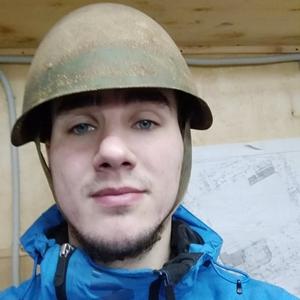 Дмитрий Архангельский, 29 лет, Мончегорск