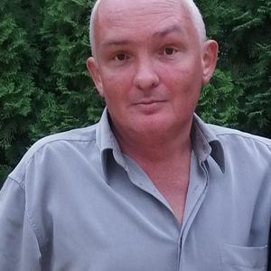Геннадий, 48 лет, Воронеж