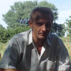 Игорь, 53 года, Курск