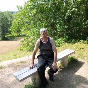 Станислав, 66 лет, Всеволожск