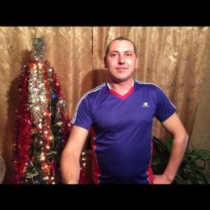 Николай, 39 лет, Белово