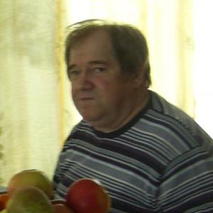 Александр, 72 года, Томск
