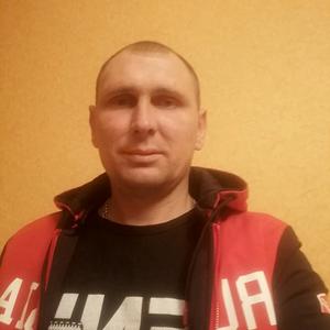 Дима, 37 лет, Новомосковск