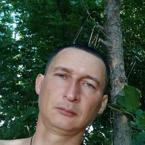 Nikolay, 42 года, Донецк