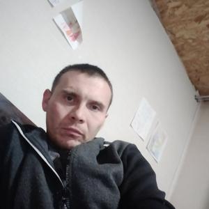 Владимир Шамарданов, 38 лет, Тверь
