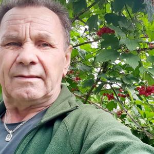 Евгений, 72 года, Тарногский Городок