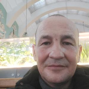 Айрат, 50 лет, Ульяновск