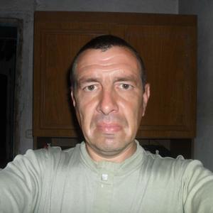 Александр Хвидзевич, 44 года, Кемерово