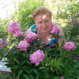 Лидия Тищенко, 70 лет, Курск