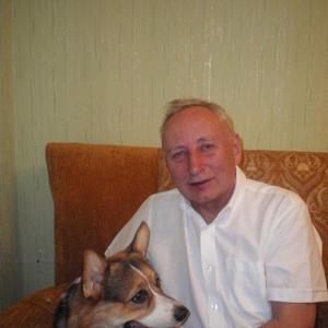 Anatolij, 76 лет, Старый Оскол