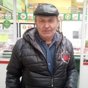 Виктор, 70 лет, Белоозеро