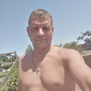 Николай, 47 лет, Москва