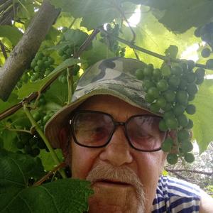 Валерий, 75 лет, Спасск-Дальний