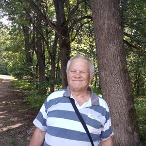 Сергей, 68 лет, Санкт-Петербург