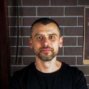 Александр, 40 лет, Сестрорецк