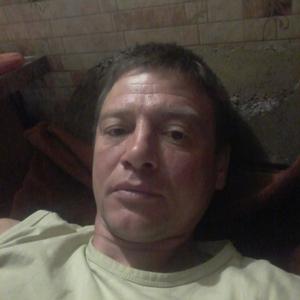 Сергей Сенцов, 50 лет, Воронеж