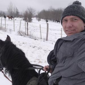 Парни в Морозовске: Алексей Ковалев, 37 - ищет девушку из Морозовска