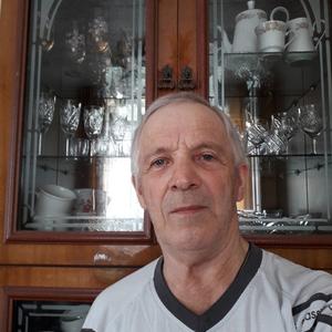 Владимир, 73 года, Барнаул