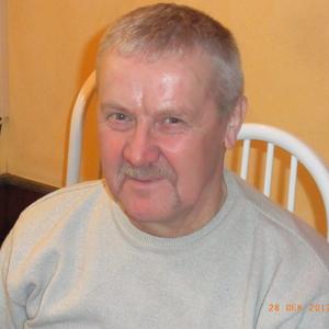 Парни в Новодвинске: Владимир Чернокрылов, 69 - ищет девушку из Новодвинска