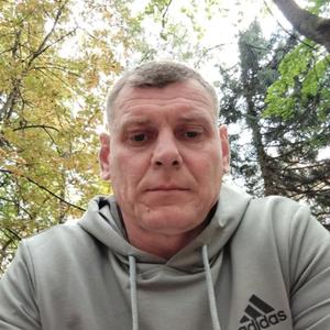 Юрий, 42 года, Курск