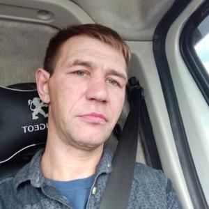 Андрей, 36 лет, Мытищи