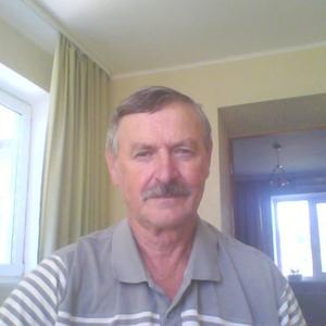 Алексей Прокопьев, 68 лет, Советская