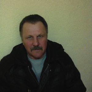 Владимир, 65 лет, Федоровка