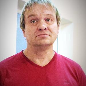 Владимир, 53 года, Щекино