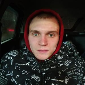 Димусик, 28 лет, Архангельск