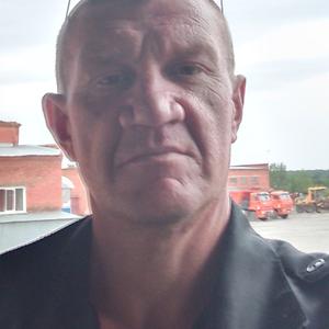 Владимир, 44 года, Кемерово