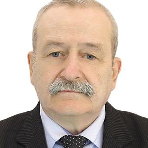 Пётр, 68 лет, Нижний Новгород