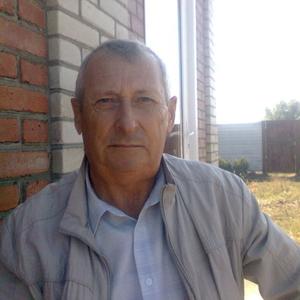 Геннадий Воронкин, 73 года, Воронеж