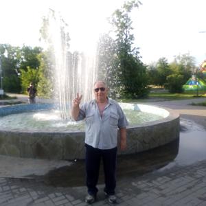 Николай, 69 лет, Воронеж