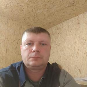 Михаил, 42 года, Брянск