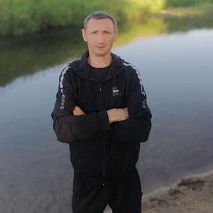 Александр, 40 лет, Александров