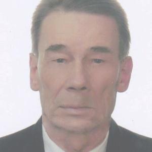 Александр, 76 лет, Курск