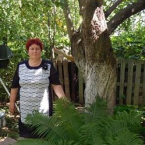Забара Елена, 58 лет, Барнаул