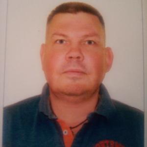 Геннадий, 53 года, Череповец