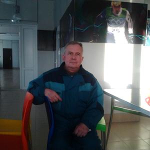 Василий, 71 год, Нижний Тагил