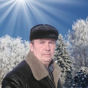 Сергей Кучин, 60 лет, Курск