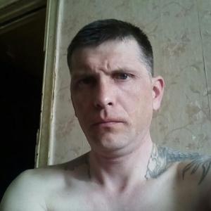 Сергей, 43 года, Электросталь