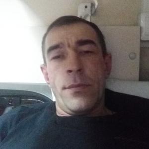 Анатолий, 43 года, Тобольск